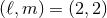 (ℓ,m ) = (2, 2)